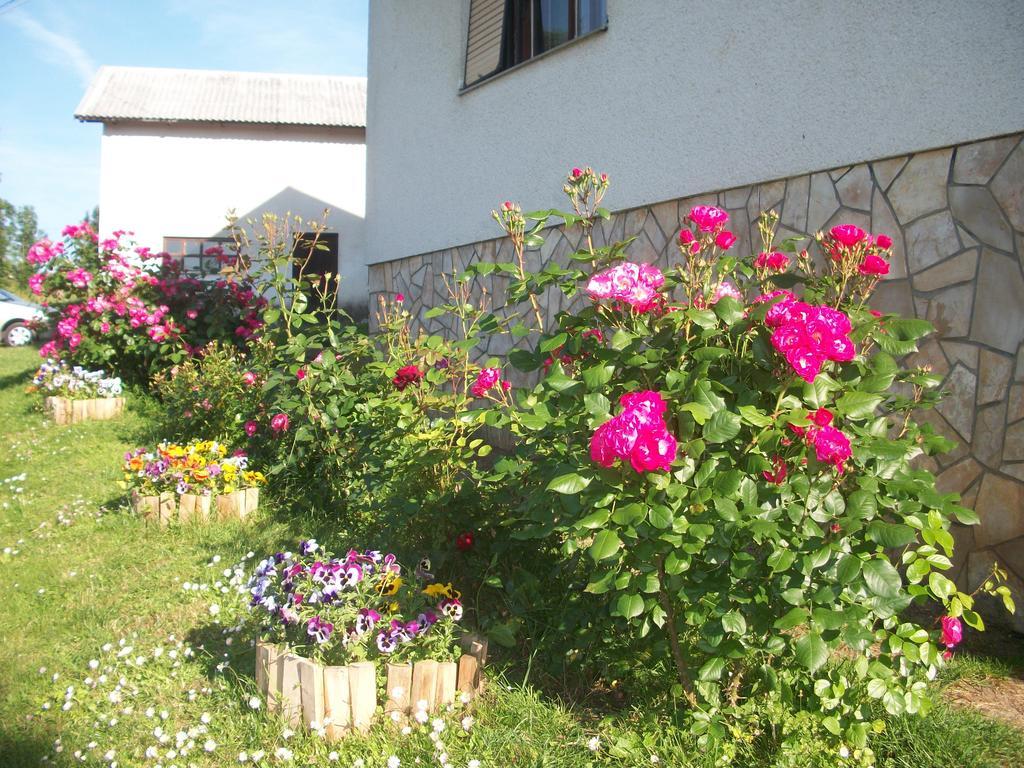 House Veljko Vila Vrhovine Exterior foto